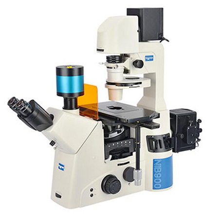 872d1f15-cf36-11ef-9d2e-000c29e1040d